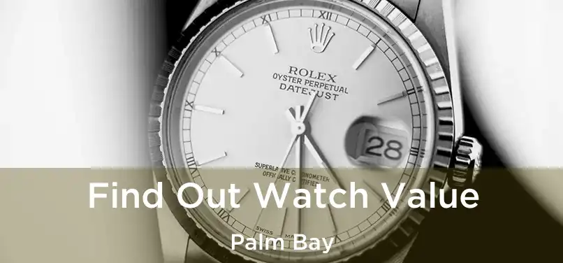 Find Out Watch Value Palm Bay