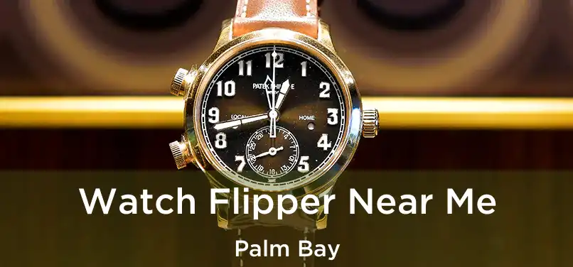 Watch Flipper Near Me Palm Bay